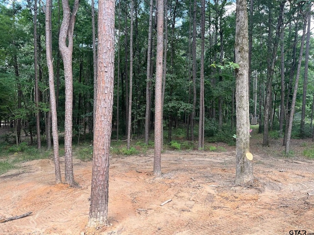 14664 Jade Forest Trl, Tyler, TX 75707 - view of local wilderness