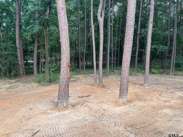 14664 Jade Forest Trl, Tyler, TX 75707 - view of local wilderness