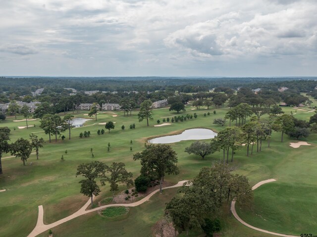 4379 Hogan Dr, Tyler, TX 75709 - photo 9