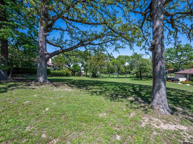 4379 Hogan Dr, Tyler, TX 75709 - photo 4