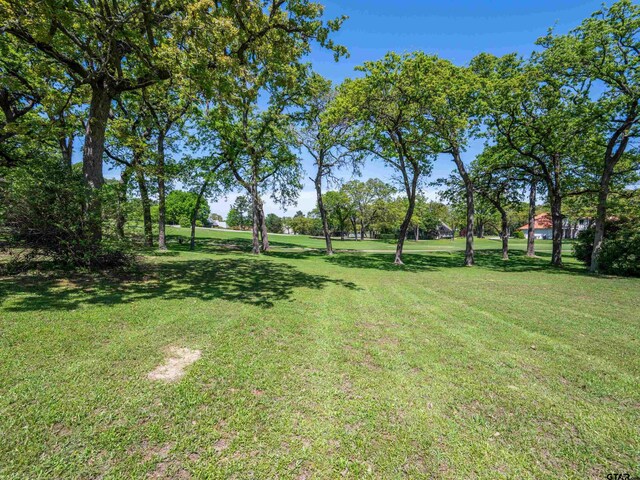 4379 Hogan Dr, Tyler, TX 75709 - photo 5