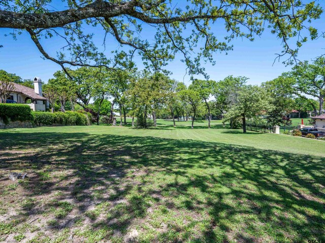 4379 Hogan Dr, Tyler, TX 75709 - photo 1