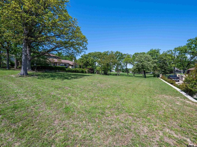 4379 Hogan Dr, Tyler, TX 75709 - photo 3