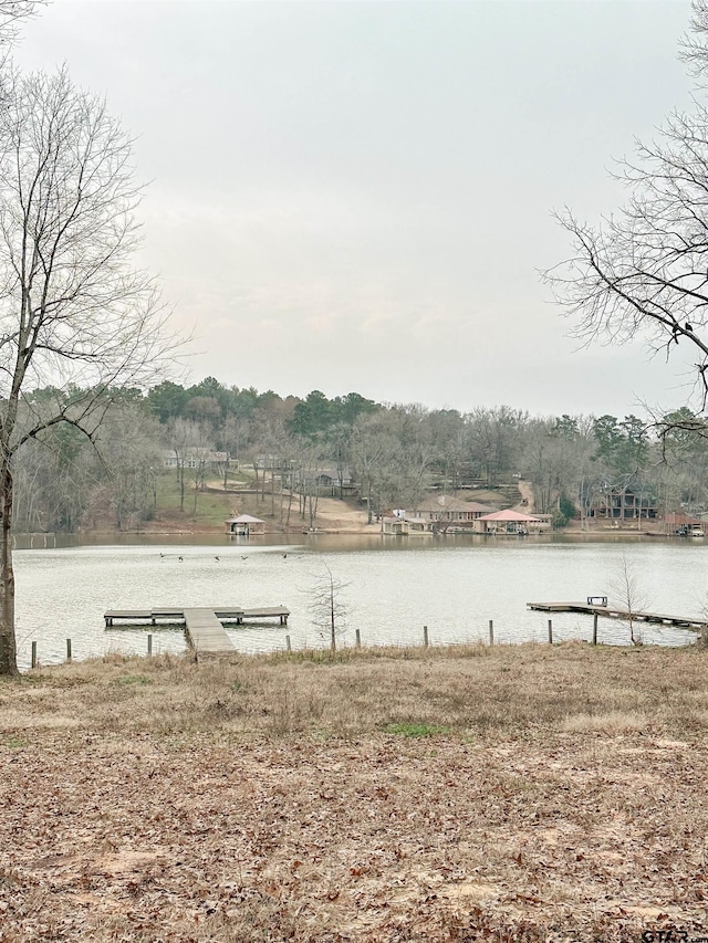 view of yard featuring a water view and a dock