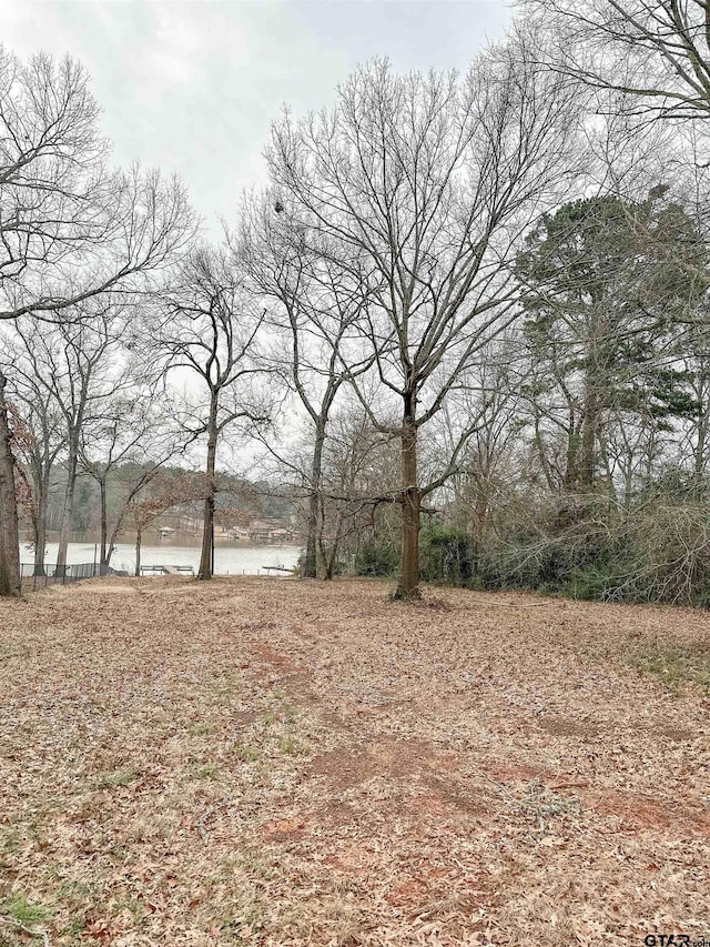 view of yard featuring a water view