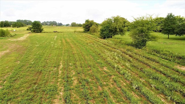 TBD E Fm 227, Grapeland, TX 75844 - photo 9