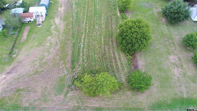 TBD E Fm 227, Grapeland, TX 75844 - photo 4
