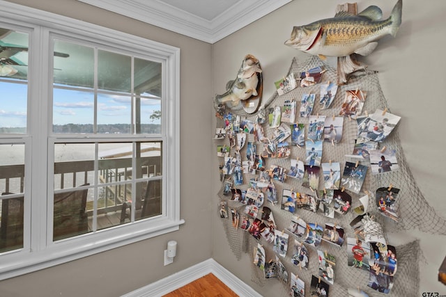 interior details with crown molding