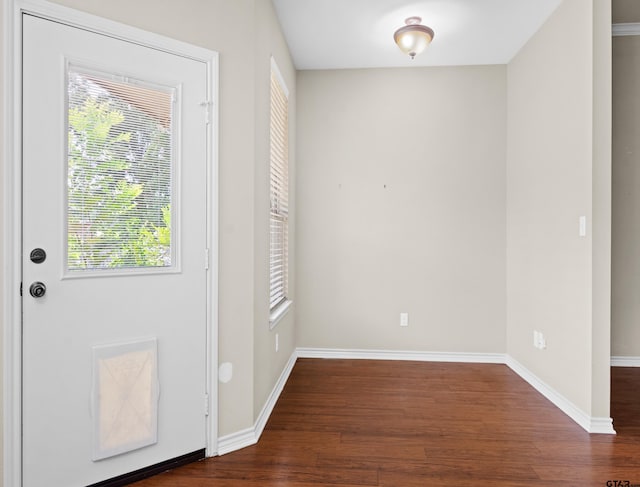 foyer entrance featuring dark hardwood / wood-style floors