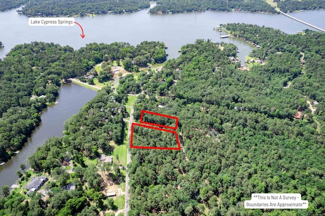 506 S King Lake Rd, Scroggins, TX 75480 - aerial view of property's location with a large body of water, a forest, and property parcel outlined
