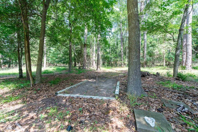 506 S King Lake Rd, Scroggins, TX 75480 - view of yard with a view of trees