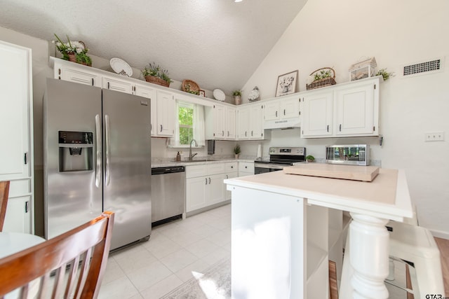 506 S King Lake Rd, Scroggins, TX 75480 - kitchen featuring appliances with stainless steel finishes, under cabinet range hood, a peninsula, vaulted ceiling, and light countertops