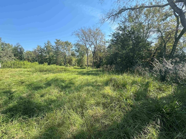 460 Crk 4319, Reklaw TX, 75784 land for sale