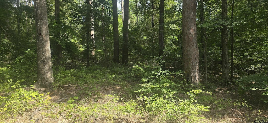TBD Catalina St, Ore City, TX 75683 - photo 4