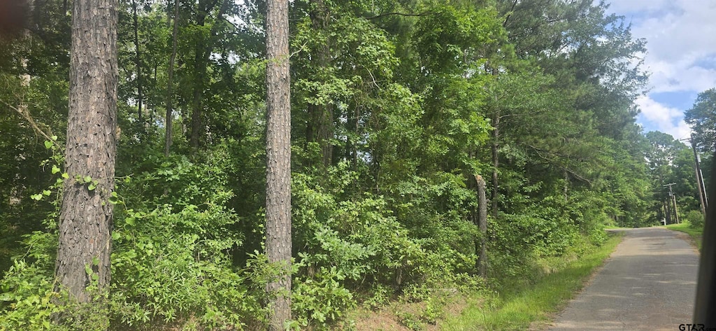 TBD Catalina St, Ore City, TX 75683 - photo 3