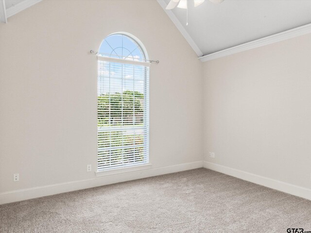 225 Chester Dr, Canton, TX 75103 - photo 20