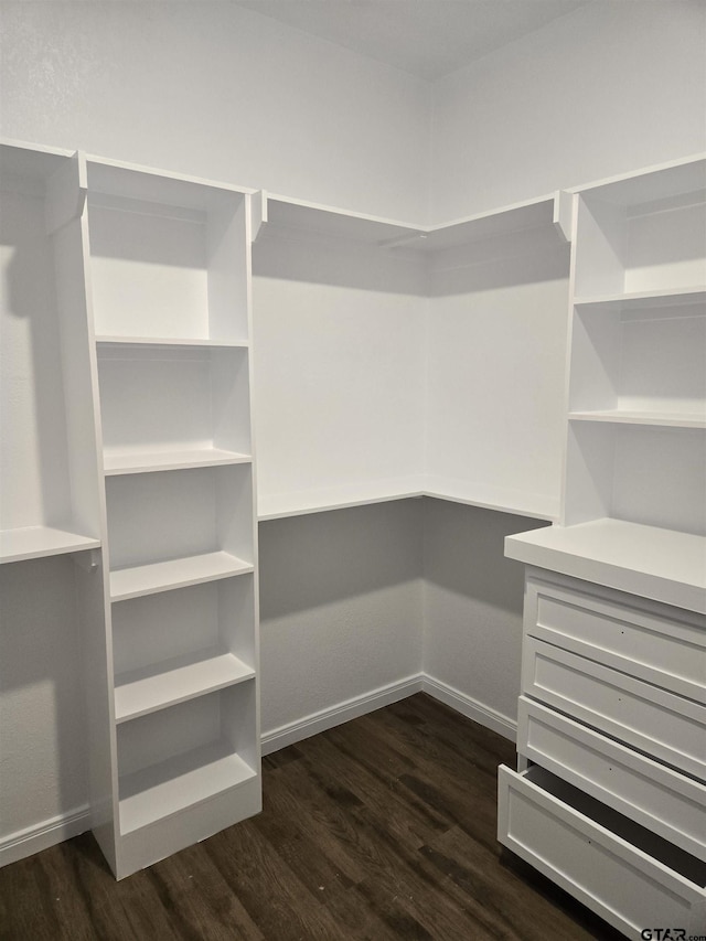 walk in closet featuring dark wood-type flooring