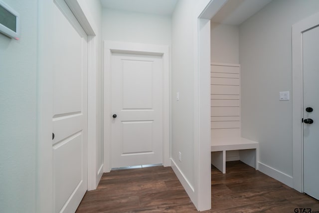 mudroom featuring dark wood-type flooring