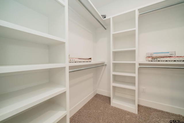 walk in closet with carpet flooring