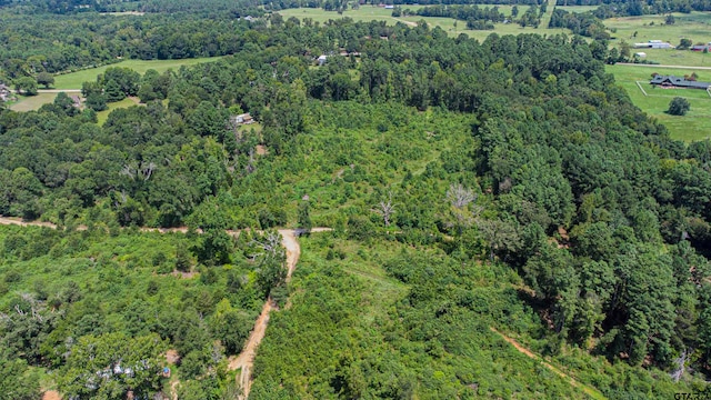 TBD County Road 2159, Troup TX, 75789 land for sale