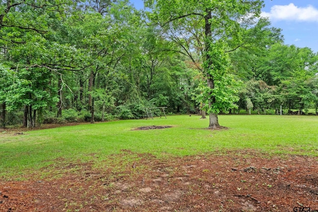 18396 Tall Pines Dr, Tyler, TX 75703 - view of grassy yard