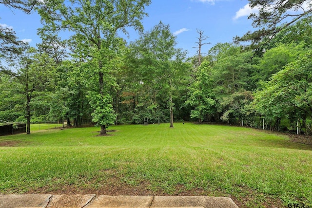 18396 Tall Pines Dr, Tyler, TX 75703 - view of grassy yard