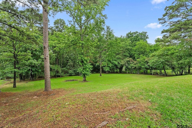 18396 Tall Pines Dr, Tyler, TX 75703 - view of green lawn