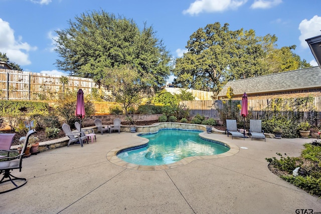 view of swimming pool featuring a patio area