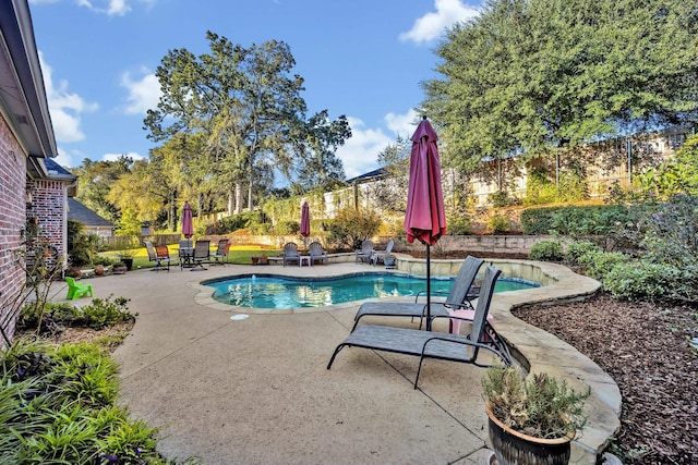 view of swimming pool with a patio