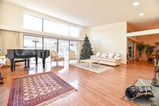 living room featuring a towering ceiling and wood-type flooring