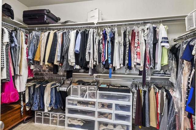 walk in closet with carpet floors