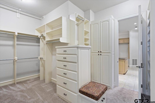 spacious closet with light carpet