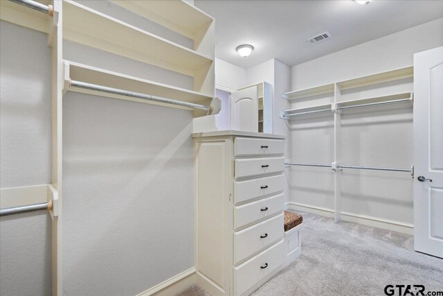 spacious closet with light carpet