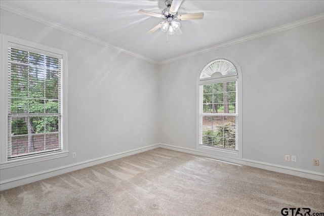 unfurnished room with carpet, a wealth of natural light, and crown molding