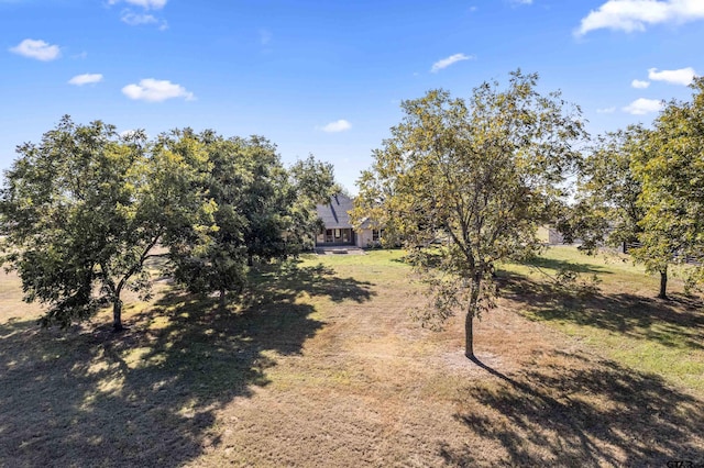 1036 High Meadow Dr, Mount Vernon, TX 75457 - view of grassy yard