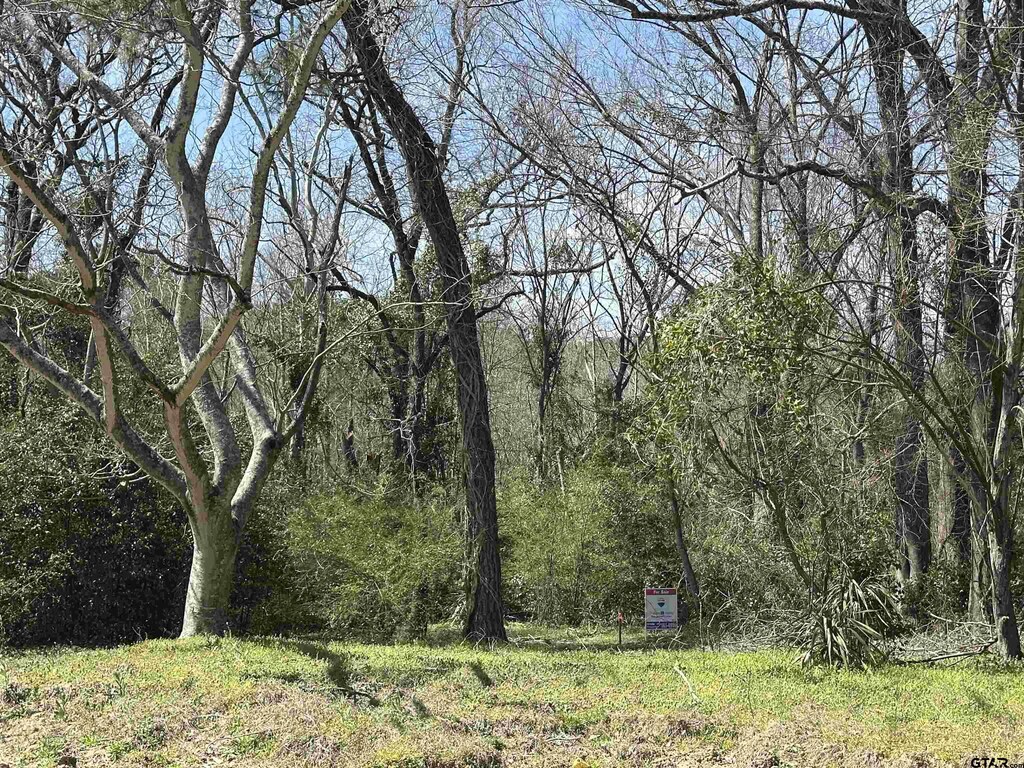 8329 Paluxy Dr, Tyler, TX 75703