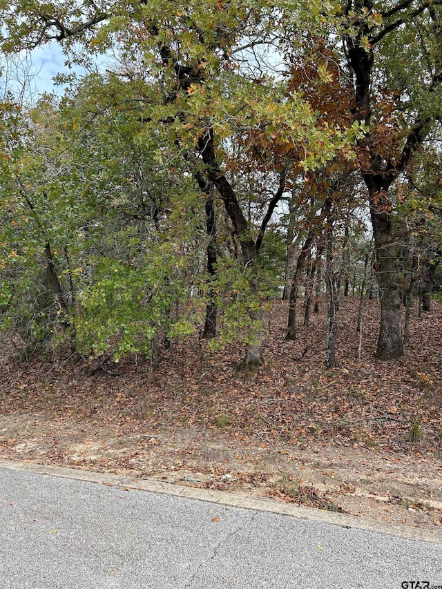 Listing photo 2 for TBD Pedernales, Athens TX 75752