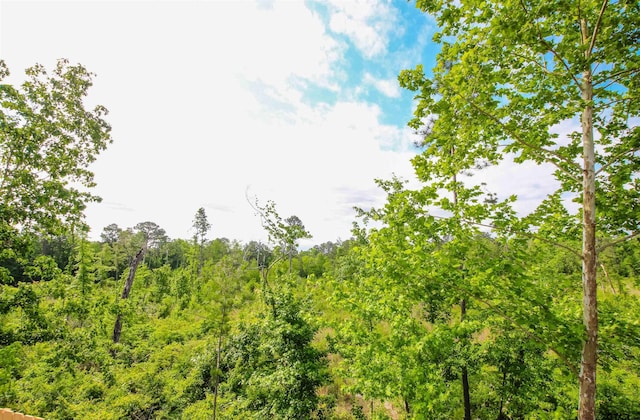 view of local wilderness featuring a forest view