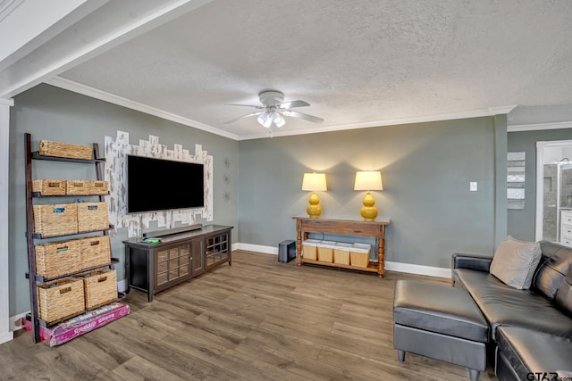 living room featuring ceiling fan, wood-type flooring, ornamental molding, and a textured ceiling