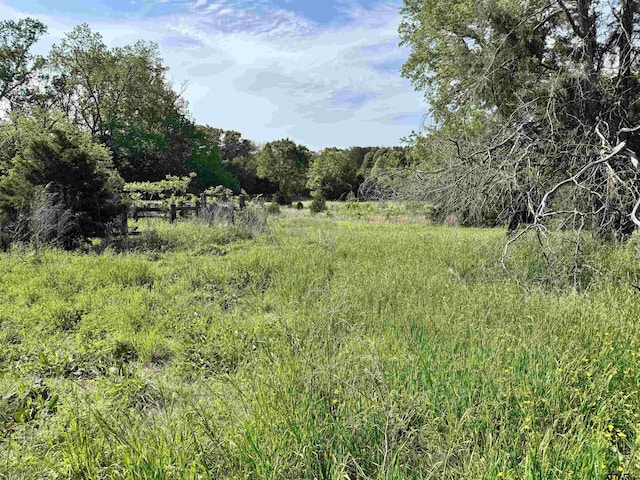 0000 Fm 312, Winnsboro, TX 75494 - photo 13