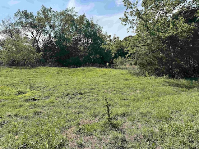 0000 Fm 312, Winnsboro, TX 75494 - photo 15