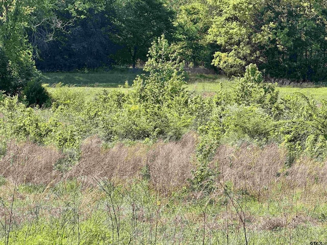 0000 Fm 312, Winnsboro, TX 75494 - photo 19