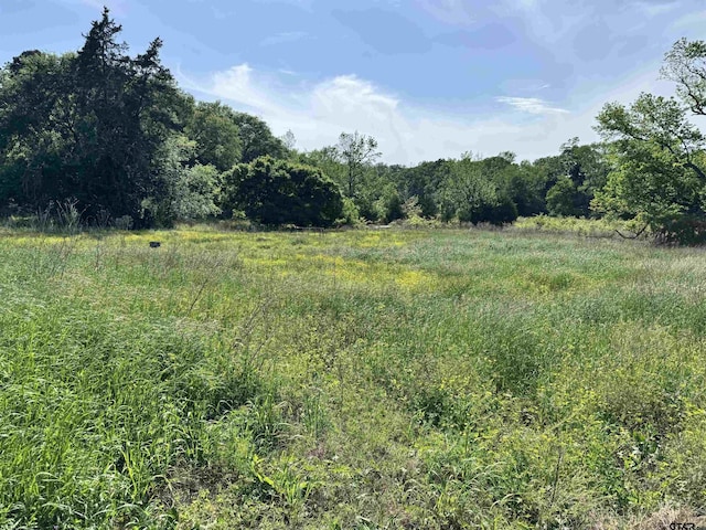 0000 Fm 312, Winnsboro, TX 75494 - photo 12