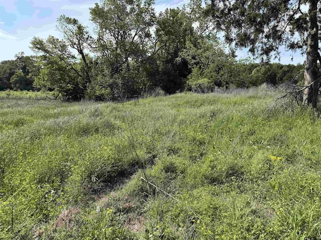 0000 Fm 312, Winnsboro, TX 75494 - photo 11