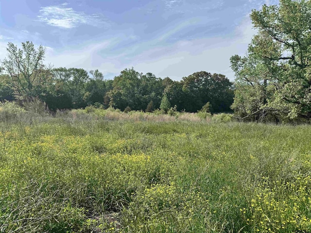 0000 Fm 312, Winnsboro, TX 75494 - photo 7