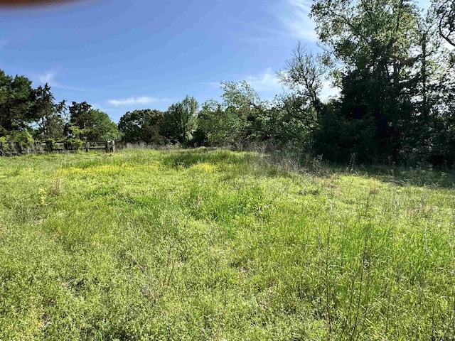 0000 Fm 312, Winnsboro, TX 75494 - photo 4