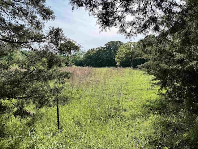 0000 Fm 312, Winnsboro, TX 75494 - photo 6