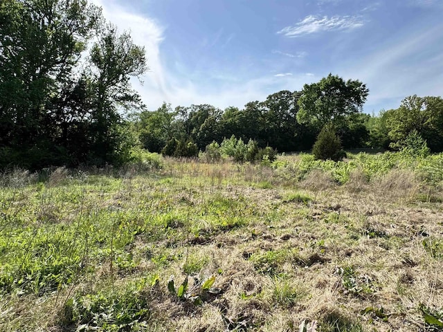0000 Fm 312, Winnsboro, TX 75494 - photo 3