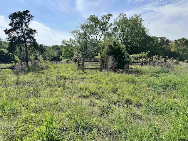 0000 Fm 312, Winnsboro, TX 75494 - photo 14