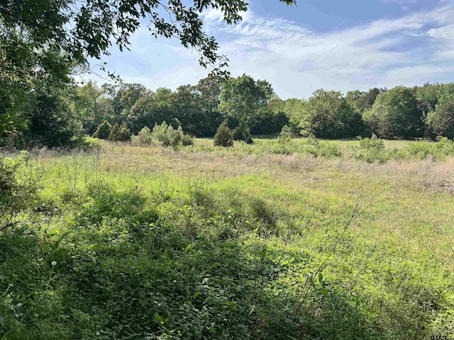 0000 Fm 312, Winnsboro, TX 75494 - photo 20